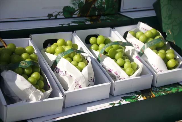 吃过云南这十种名果的人，云南十种野果吃法