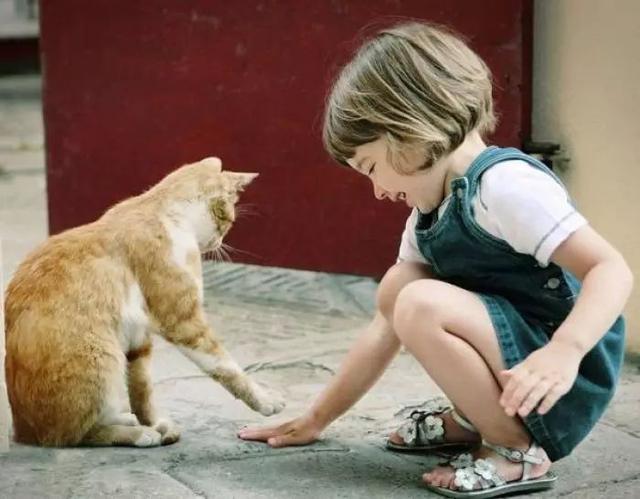 儿童画基础教程，儿童画素描教程简单又漂亮（零基础怎么画出以下的绘画作品）