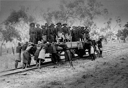 澳大利亚的原始人种，澳大利亚改良人种计划