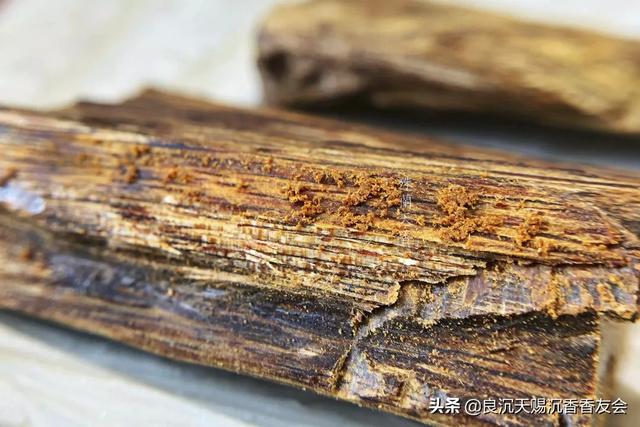 沉香的产生原因，沉香是如何形成的