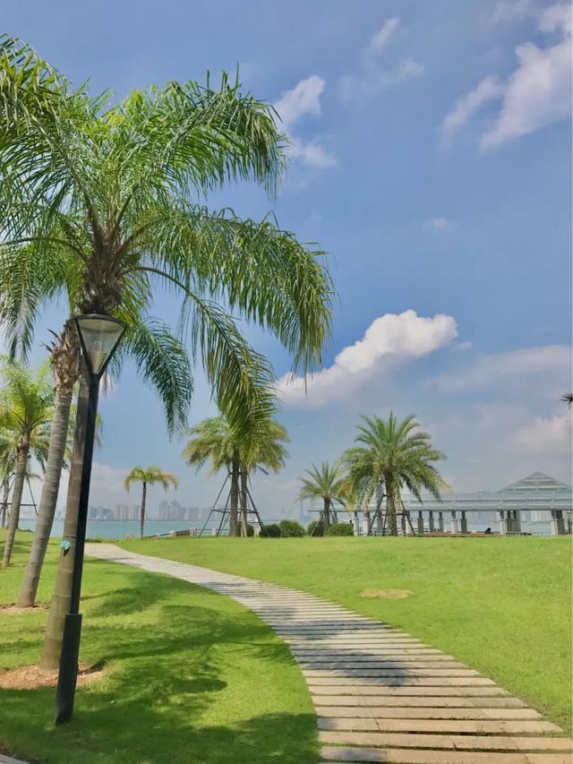 厦门网红打卡地不凡之地，厦门这些网红地