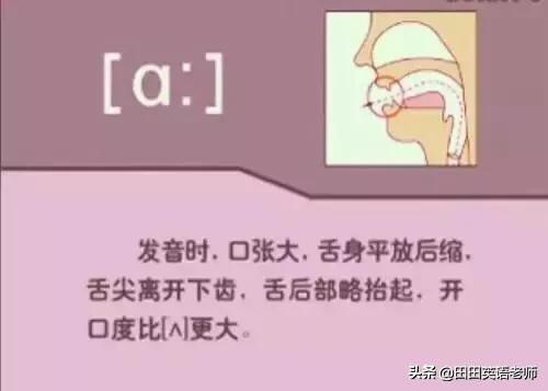 英语音标怎么学，初学英语者必看如何学习国际音标（资深老教师说：音标就该这样学）