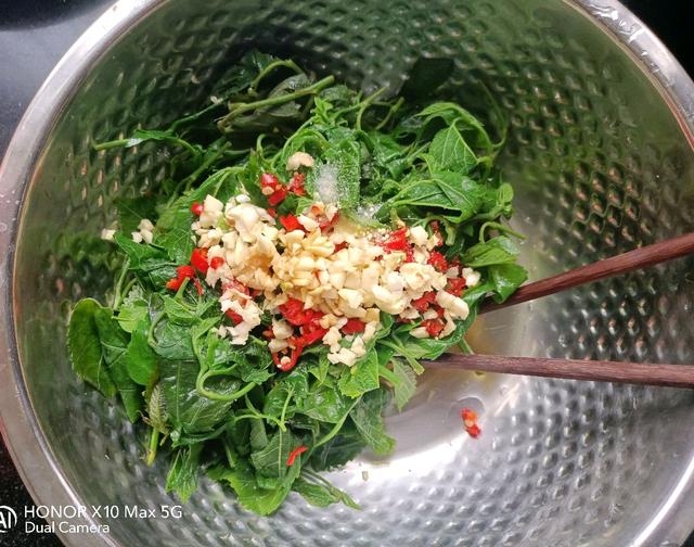 蚕宝宝除了吃桑叶还喜欢吃什么，蚕宝宝的一日三餐