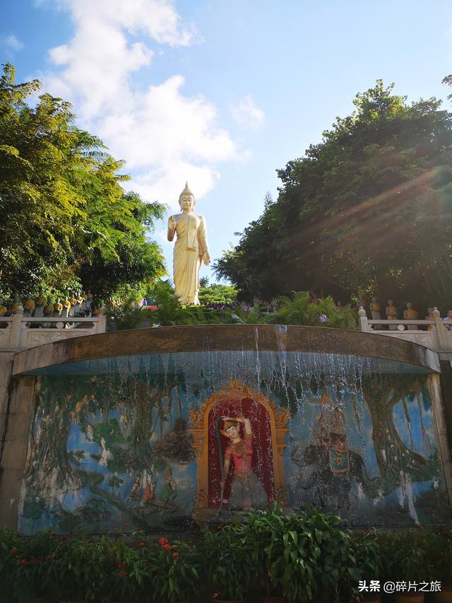 这个夏天总要来一趟西双版纳，追寻自然的呼吸