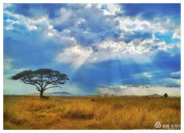 东非动物大迁徙，东非动物大迁徙的路线图（“生命的长征”东非野生动物大迁徙）