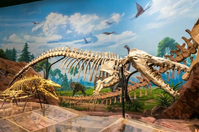 昆明梦幻联邦乐园什么值得玩，昆明周边惊现世界奇迹上的欢乐王国