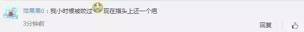 兔子急了也会咬人，千万别把对手逼上绝路》