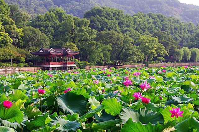 杭州西湖文化景观，西湖必去的十大景点介绍（西湖三十景，最新绝美大片亮相）