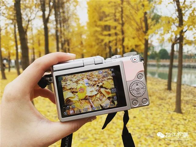 松江一日游免费景点方塔园，在松江你只知道方塔