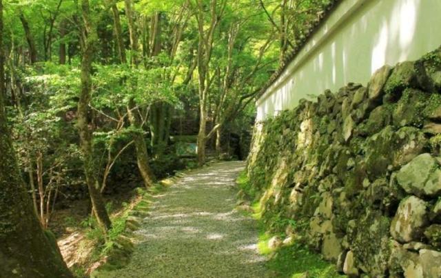 范仲淹平生绝美之作，范仲淹的十首经典诗句