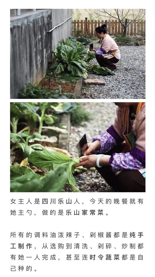 温州江心屿特色，浙江温州有个很出名的岛屿