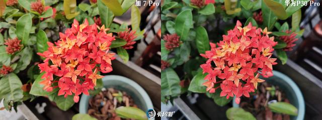 一加7 pro综合性能评测，一加7Pro