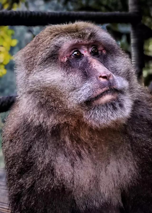 学摄影的一些小知识，这5个知识点不能再错了