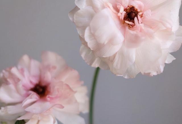 看淡人生经典句子，人生看开看淡的句子