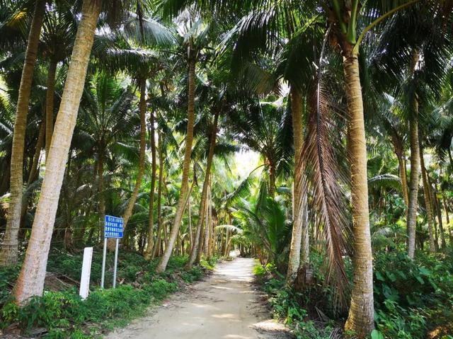 木兰湾游玩攻略，海南旅游攻略五日游最佳路线图