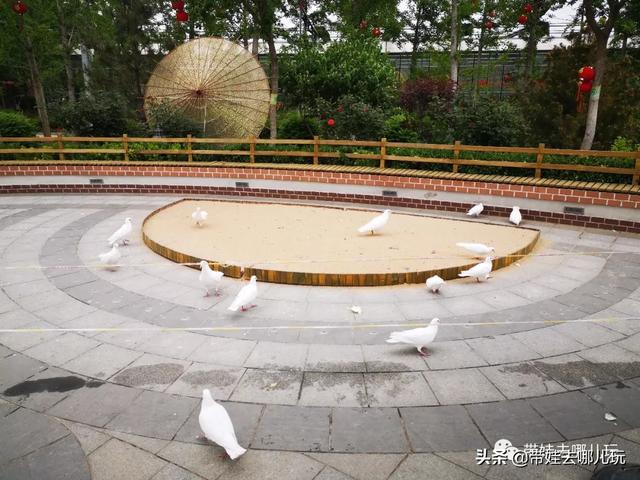 南宫旅游十大必去景点，假日乡村打卡丨夏日来南宫看民族主题花车巡游