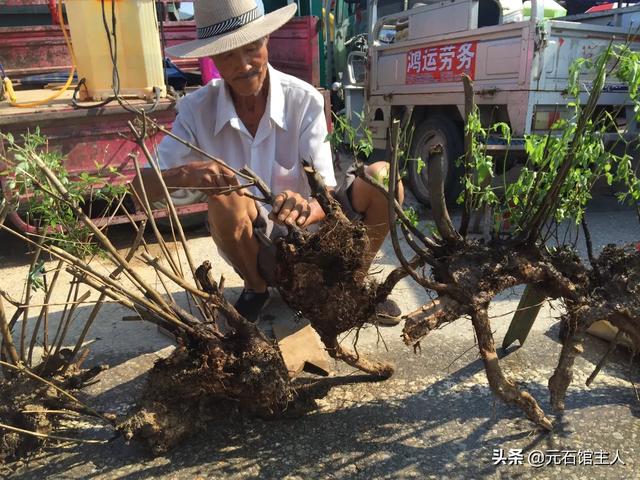 厦门东部最大的大集，“空中视角”带你赶厦门唐王大集