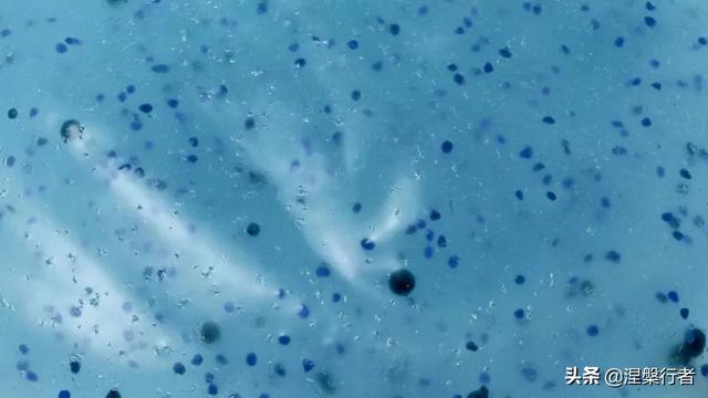 五种常用的塑料及其应用，看懂塑料的发展史