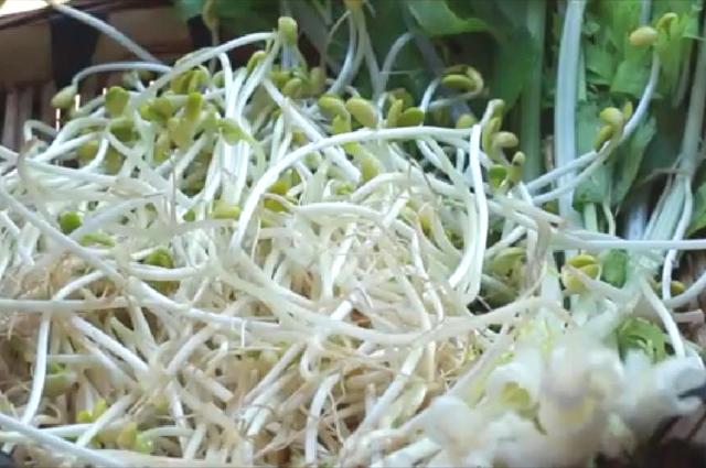 四川凉拌麻辣肉做法，四川地区的麻辣滑肉