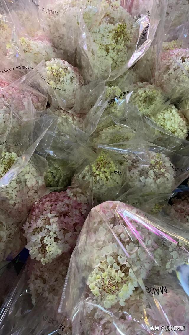 最浪漫的斗南花市，属于斗南的精彩才真正开启