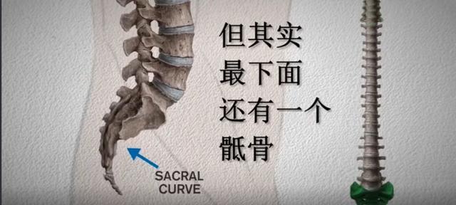 中国脊柱脊髓杂志，脊柱脊髓杂志中文（关于举办中国康复医学会第十五届脊柱脊髓专业委员会学术会议的通知）