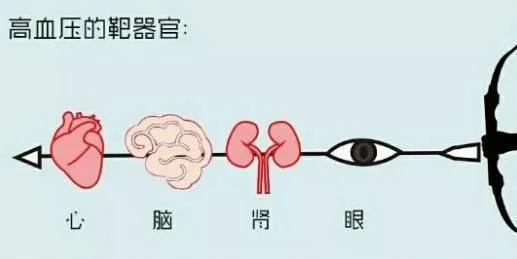 肥胖血压高160低100怎么办(肥胖血压高160低压40)