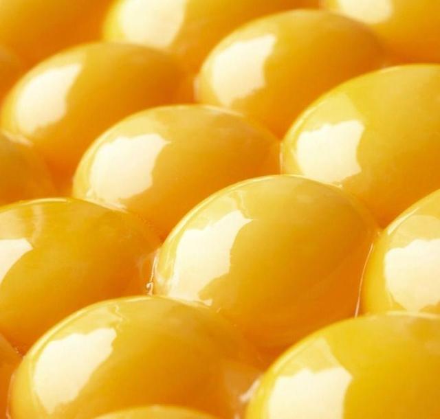 狗狗可以吃蛋黄吗，狗狗可以吃蛋黄吗能够吃多少呢（狗狗摄入蛋黄过量易诱发肾衰）