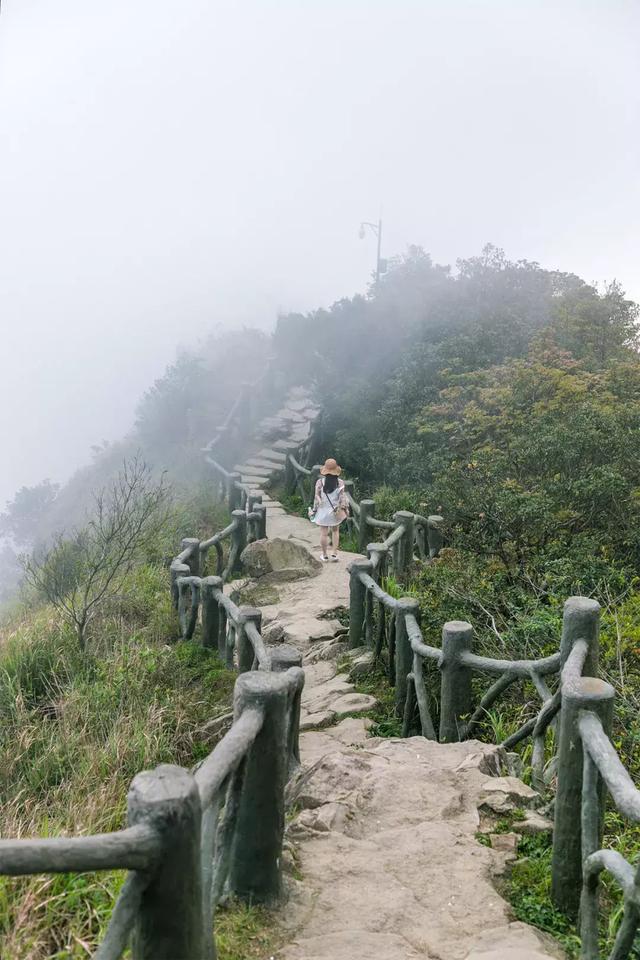 深圳十大山风景区，推荐10个非常值得一去的登山打卡点