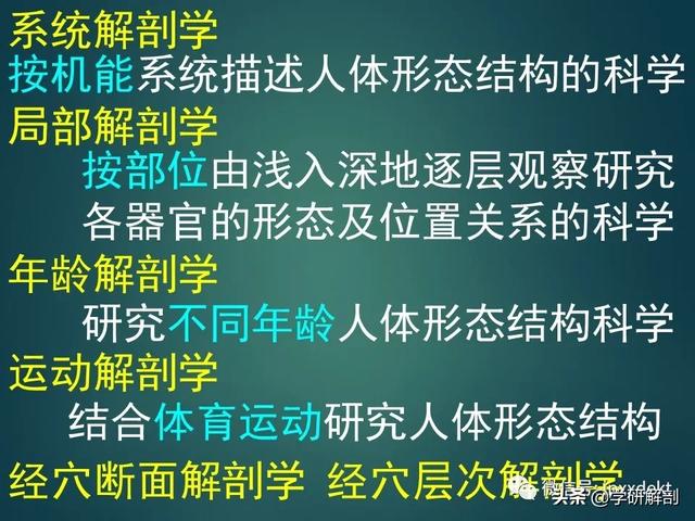 人体解剖学基础，人体解剖学基础知识学什么（基础知识之人体解剖学基础）
