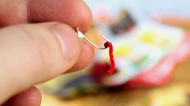 红虫串钩的正确方法，如何串钩钓鱼