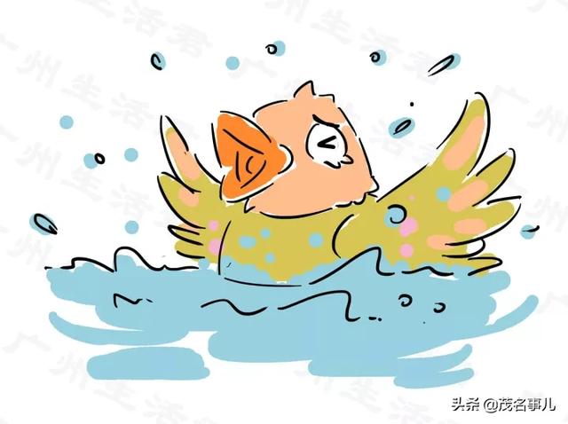 茂名家乡话，你是不是正宗茂名人