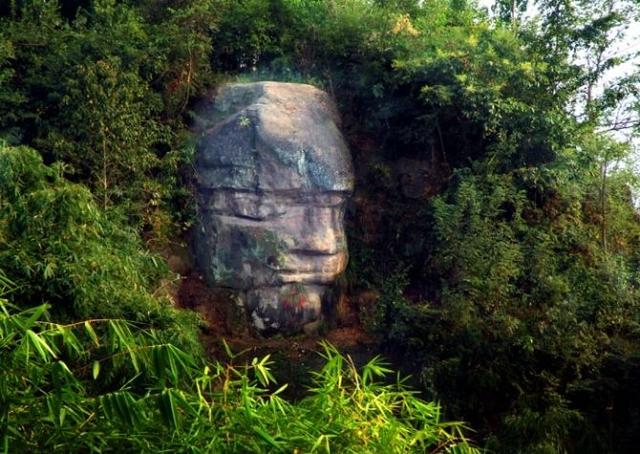 这是一种吉祥又神奇的植物，适合院子里种的4种树