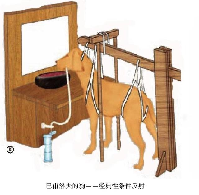 一年怕蛇咬十年怕井绳，为什么会一朝被蛇咬