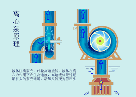 水电站发电原理，水电站发电原理全过程（科普丨水电厂到底是怎么发电的）