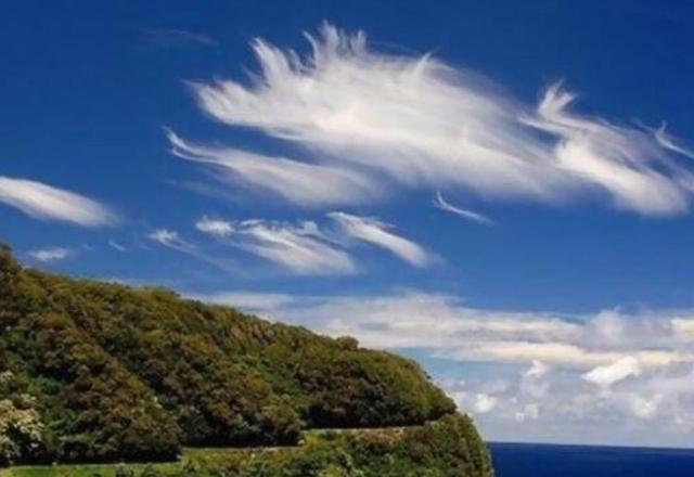 整个地球最大的岛屿，全球唯一可旋转