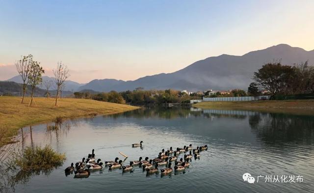广州六一儿童节游玩推荐，儿童节溜娃不用愁