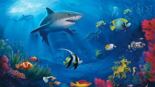 海底最深处出现了神秘的生物，在马里亚纳海沟发现的10种神秘生物