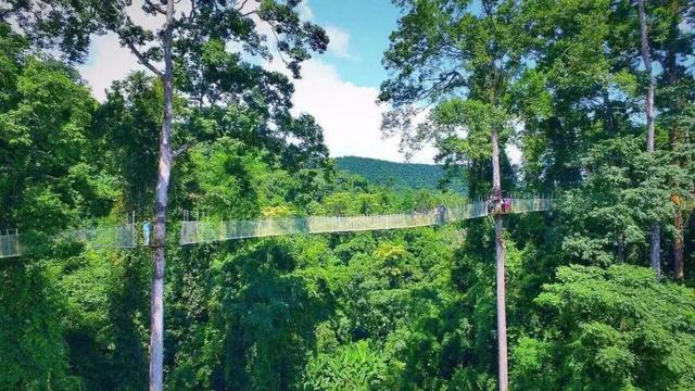 西双版纳旅游必去景点，西双版纳值得一去的景点（热带雨林与人文历史交相辉映）