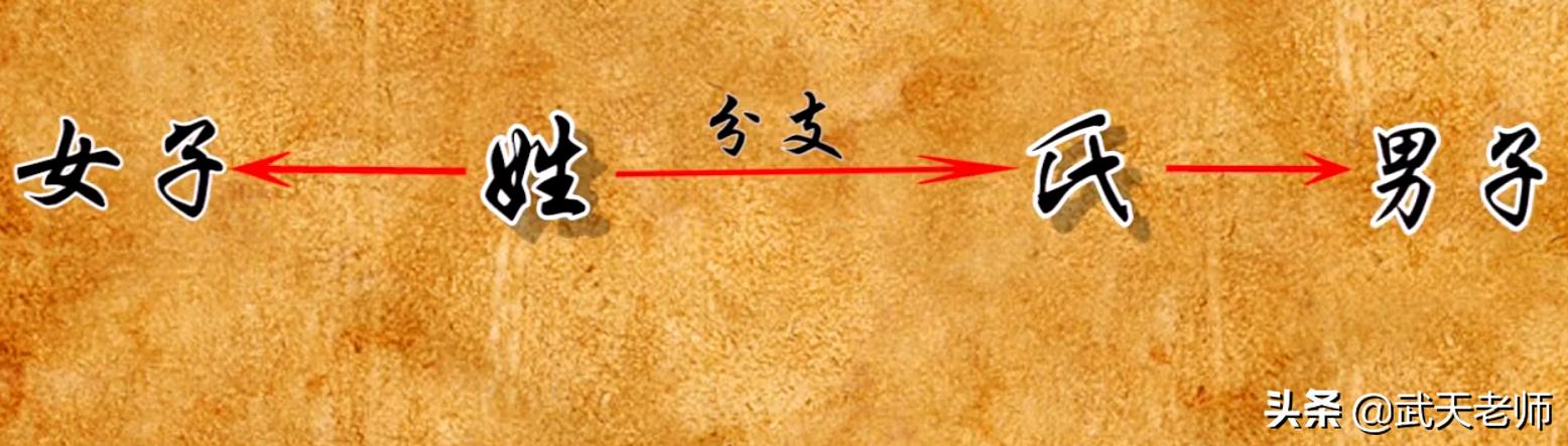 古代姓和氏的区别，古代的姓与氏是怎么区分的（很多人都搞不清的“姓”和“氏”）