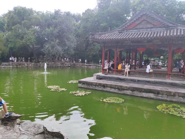 北京恭王府简介，清朝恭王府简介（你所不知道的博物馆丨恭王府博物馆）