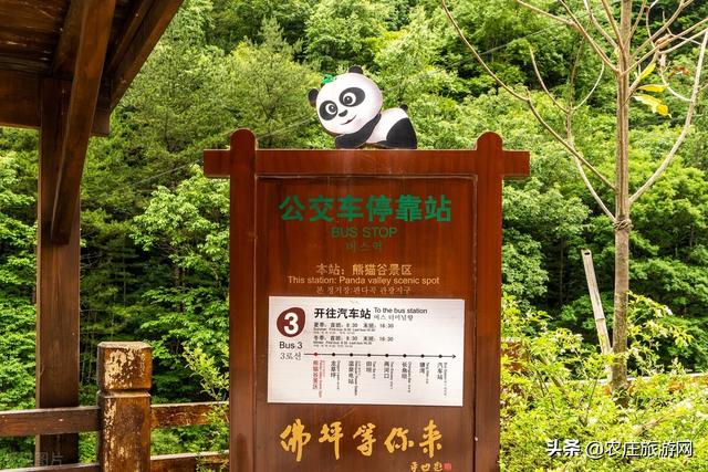 汉中哪些景点值得去旅游，汉中市的几个旅游景点