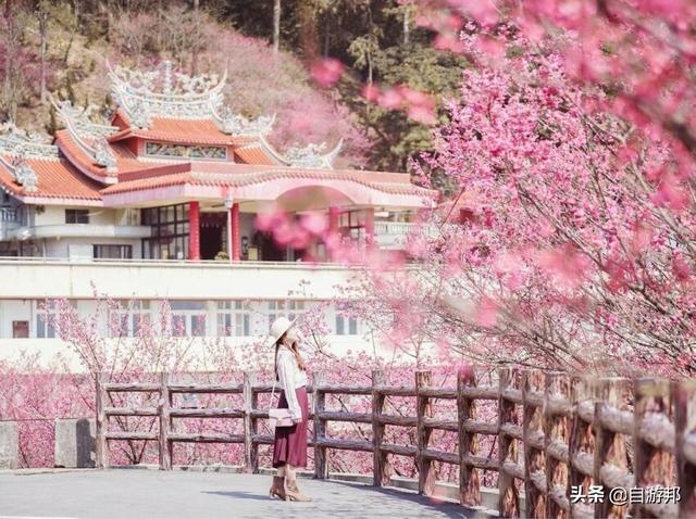 日本赏樱花著名景点，这些赏樱地等你打卡