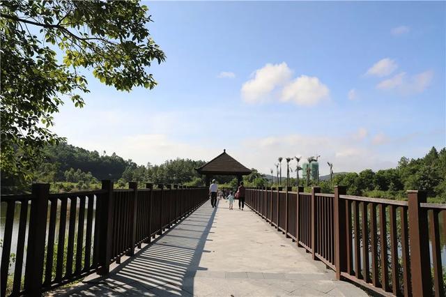 广州绿道田园景点，博罗这些高颜值绿道等你来打卡