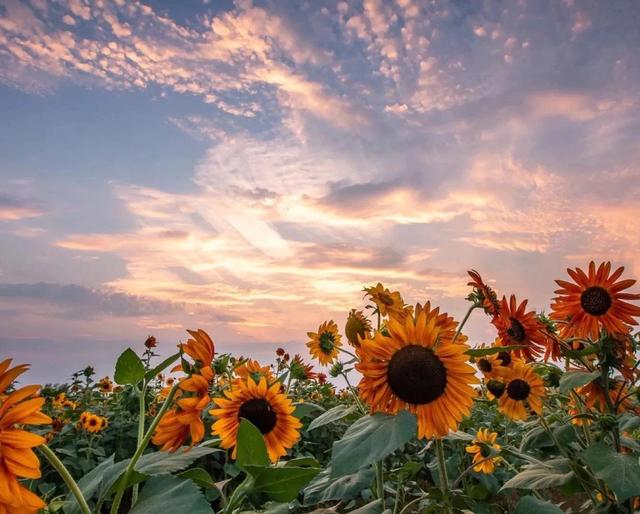 谁的青春不疯狂，谁的青春不疯狂谁的人生不迷茫