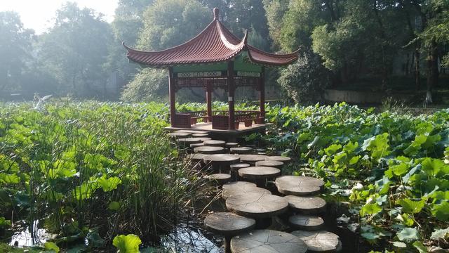 二月初二龙抬头，二月初二龙抬头民俗（农历二月初二龙抬头）