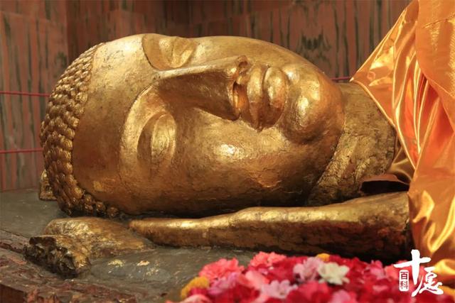 说尽佛陀与树的不解之缘，五分钟带你了解佛陀一生