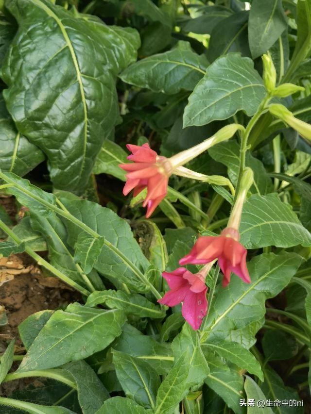 开封必游景区，这八处经典必去的地方