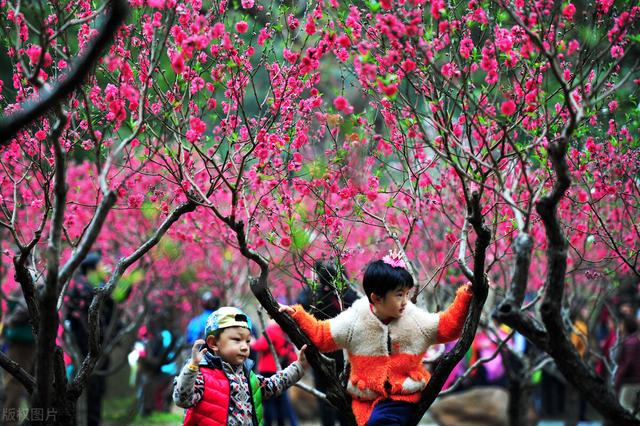 正月二十七人日子，正月二十六宜忌什么