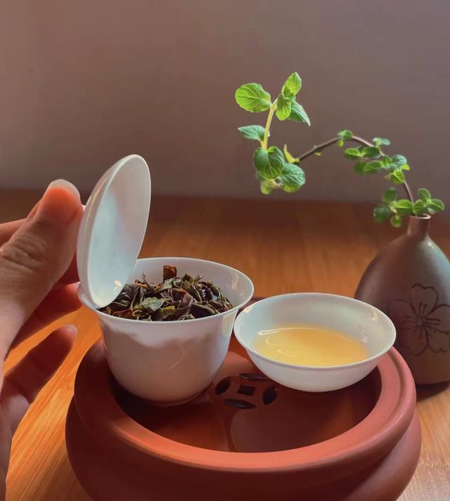90年代老茶乌龙茶，老广州人最爱的三款中高端茶叶
