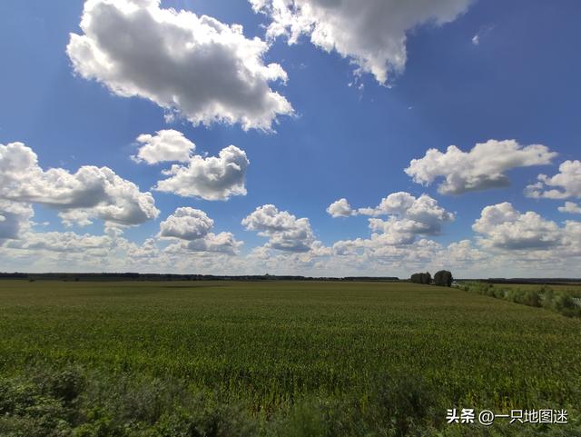 世界四块黑土地是哪四块，全球仅有三块黑土地